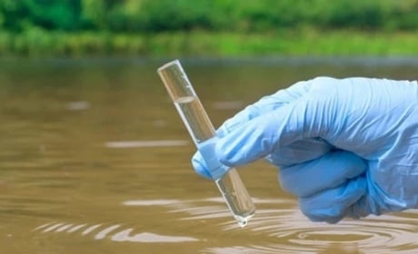 Якість води у річці Случ у Звягелі: що показала нова перевірка