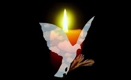 У лікарні помер Захисник України Микола Літвинець зі Звягельщини