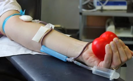 Донорство крові у Звягелі: де здати кров та як підготуватися