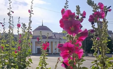 22 серпня у Звягелі тимчасово обмежать рух транспорту