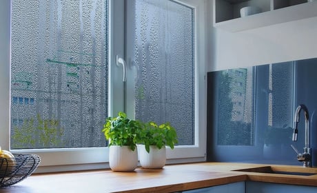 Чому "плачуть" вікна і як позбутися конденсату та цвілі з початком сезону опалення