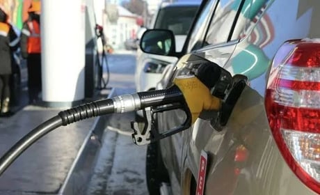 Чому у Звягелі вимагають зупинити роботу АЗС WOG: хронологія подій та рішень