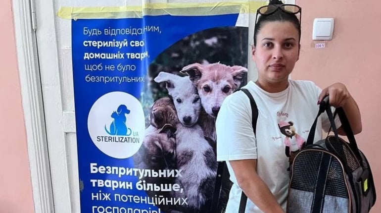 У Звягелі пройде пільгова стерилізація собак і котів: ціни та умови