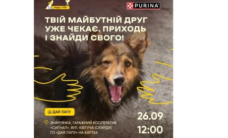 Долоньки до лапок: притулок у Знам’янці запрошує в гості