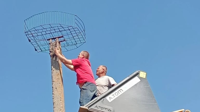 "Знаю, як важливо мати дім": переселенець із Покровська облаштував гніздо для лелек у Макарисі