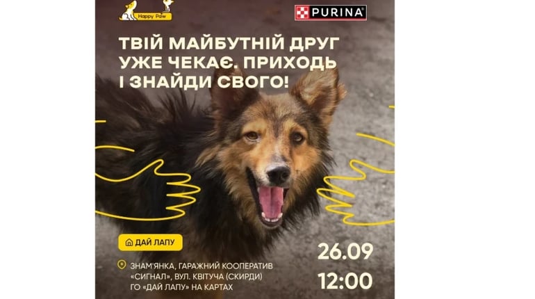Долоньки до лапок: притулок у Знам’янці запрошує в гості