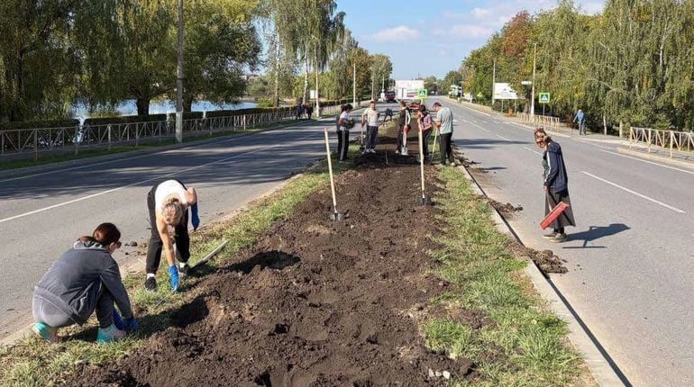 Молодь Дворічанської громади долучилася до волонтерського проєкту на Хмельниччині