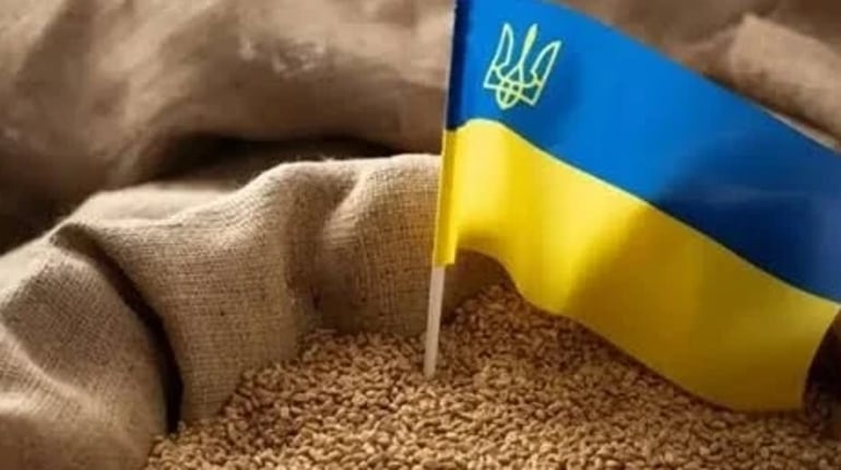 Україна може втратити третину врожаю: що загрожує мільйонам тонн зерна