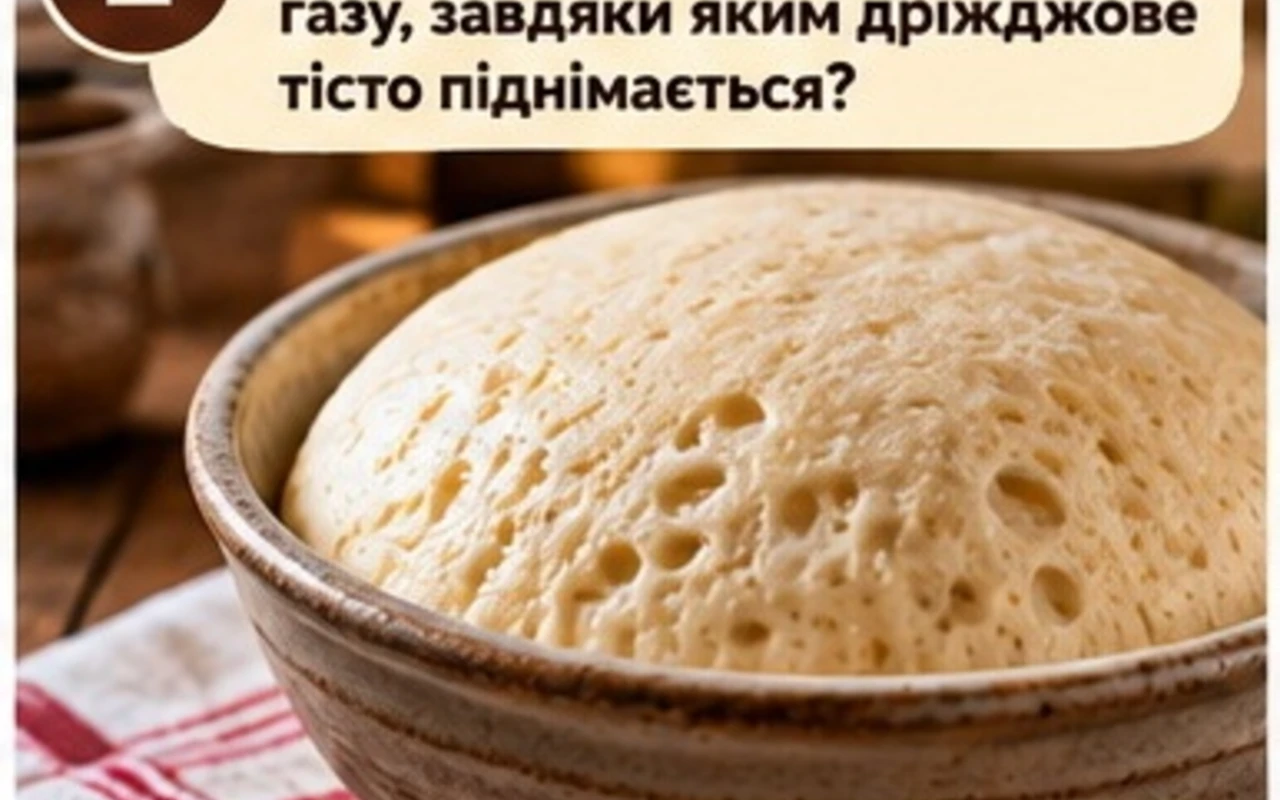 Хліб усьому голова! А скільки ви насправді знаєте про нього? Пройдіть тест із 12 запитань