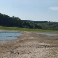 Річка на Хмельниччині відступила — і з-під води знову з’явилася давно забута дорога