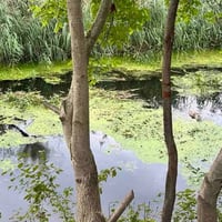 Рибалкам Старокостянтинова на замітку: як вересневе похолодання змінює кльов