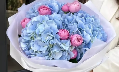 Доставка квітів Біла Церква: як замовити букет для свята, сюрпризу чи важливого привітання