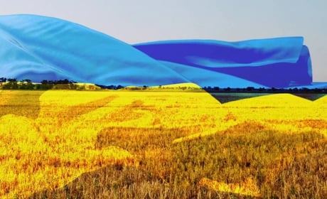 Щоденник війни. Тиждень двісті тридцять перший. Тримаймося, бережемося, шлемо донати ЗСУ