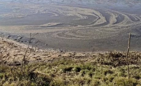 У Случі біля Красносілки зафіксували забруднення води