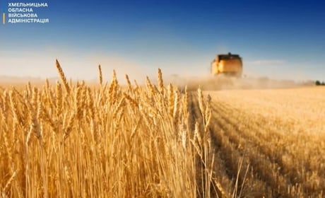 Хмельниччина б’є рекорди врожайності: область зібрала понад 2 млн тонн зерна нового врожаю