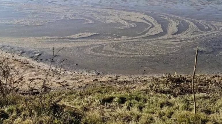 У Случі біля Красносілки зафіксували забруднення води