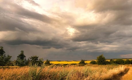 Краса народжує любов