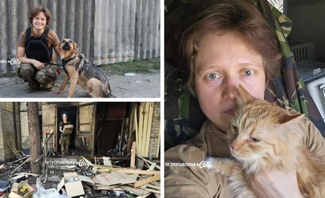 «Це не ми їх рятуємо — вони рятують нас»: як війна знищила прихисток для тварин у Петропавлівці