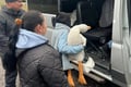 Частина родин через кілька днів після евакуації повертається на Донеччину. Що відбувається