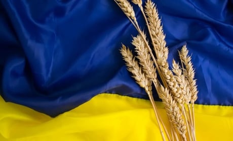 23 серпня: День Державного Прапора України та інші свята, дати, події, народні прикмети