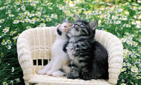 Погода на лівобережжі Херсонщини з 26 по 28 серпня: прогноз Українського гідрометеоцентру