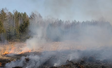 На Чернігівщині за добу зафіксували дві пожежі торфу: одна триває понад півтори доби