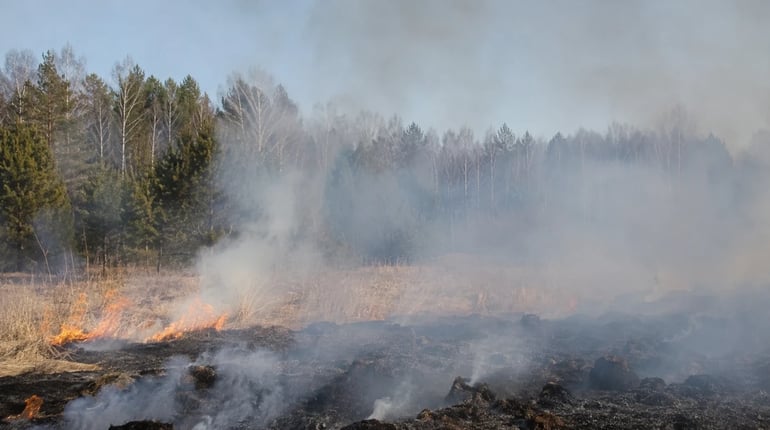 На Чернігівщині за добу зафіксували дві пожежі торфу: одна триває понад півтори доби