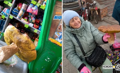 У кошику — гриби, у серці — рідна Нова Каховка