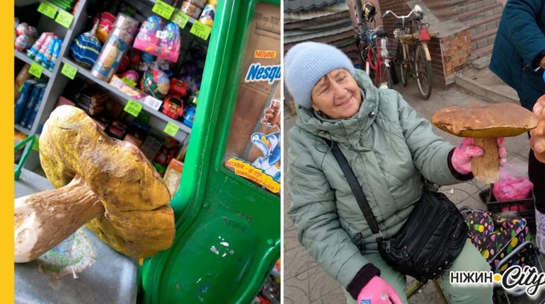 У кошику — гриби, у серці — рідна Нова Каховка