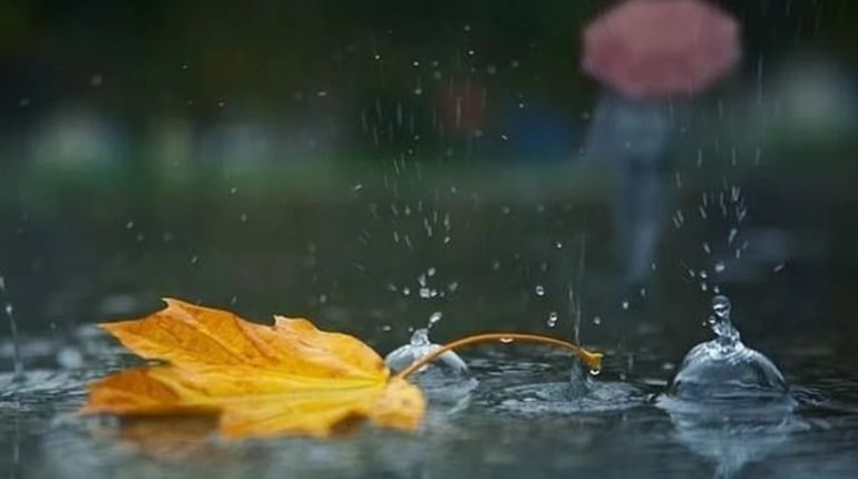 Якщо не викопали картоплю - поспішіть! З наступного тижня - похолодає та підуть дощі