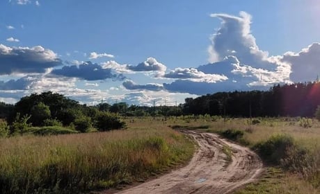 Нічні пориви вітру та дощі з грозою: яку погоду прогнозують синоптики у найближчі дні