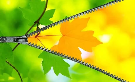 З якою погодою від нас піде літо і якими будуть перші синоптичні дні осені: прогноз погоди
