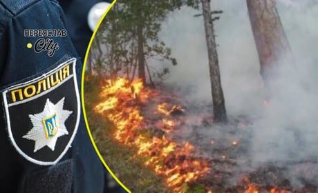 На Переяславщині горіло біля ГРП, дитячого табору, в лісі — 10 заяв про пожежі: хроніка поліції