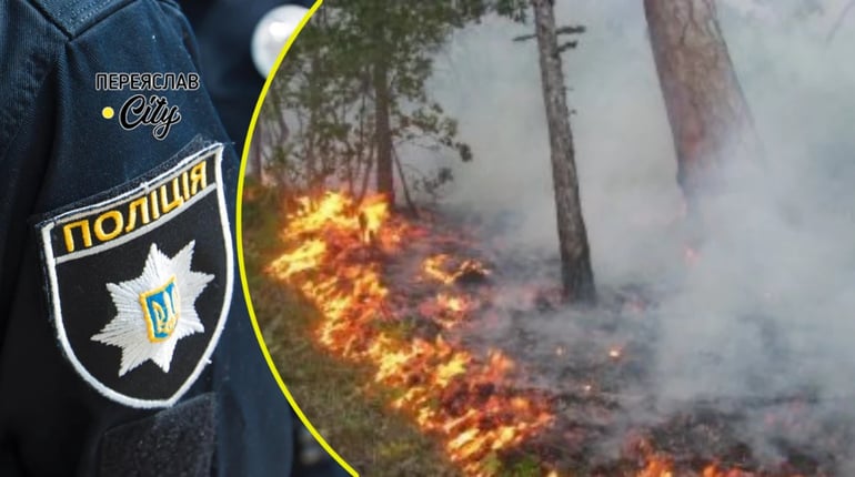 На Переяславщині горіло біля ГРП, дитячого табору, в лісі — 10 заяв про пожежі: хроніка поліції