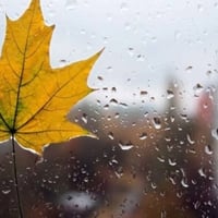 На Гадяччині очікують потепління до 27 °C упродовж тижня
