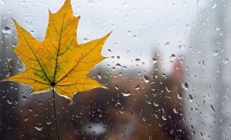 На Гадяччині очікують потепління до 27 °C упродовж тижня