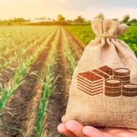 Пенсіонери за віком мають податкові пільги: дізнайтеся у яких випадках