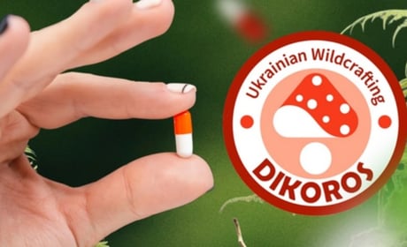 Які гриби мікродози обрати? Гід по продукції для тих, хто вперше знайомиться з мікродозингом