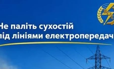 Енергетики попереджають: чому не можна палити сухостій під лініями електропередачі