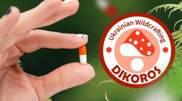 Які гриби мікродози обрати? Гід по продукції для тих, хто вперше знайомиться з мікродозингом
