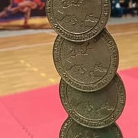 Чотири золота з чотирьох можливих: первомайчанка Ірина Лукацька стала чемпіонкою Європи з самбо