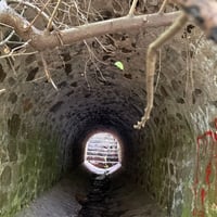 Що відповіли з мерії на пропозицію встановити сітки на шляху сміття до річки на Скалі у Первомайську
