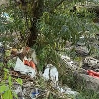 Як повідомити про загрозу довкіллю через додаток «Екозагроза»: на прикладі смітника на березі Бугу