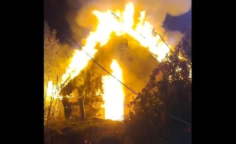 Росіяни обстріляли центр реабілітації птахів «Садиба Нюшанік» на Київщині: загинули птахи