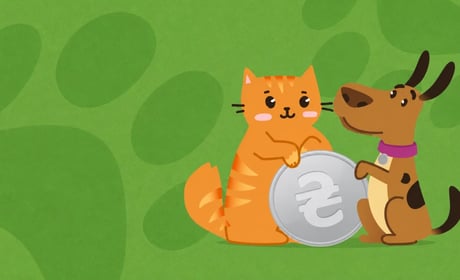 В Україні знову стартувала благодійна акція #PowerCoins: як монети допомагають рятувати тварин