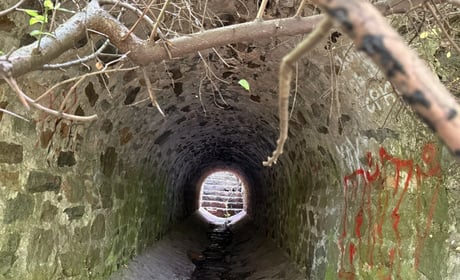 Що відповіли з мерії на пропозицію встановити сітки на шляху сміття до річки на Скалі у Первомайську